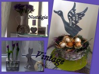 /album/fotogaleria-mark/naposledy-odovzdane80-jpg/